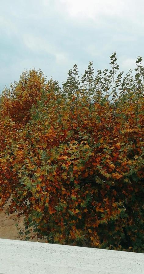Jenny'S House B&B Presenzano Εξωτερικό φωτογραφία